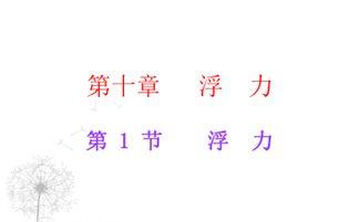 浮力第17页国产